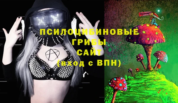 дживик Алексеевка