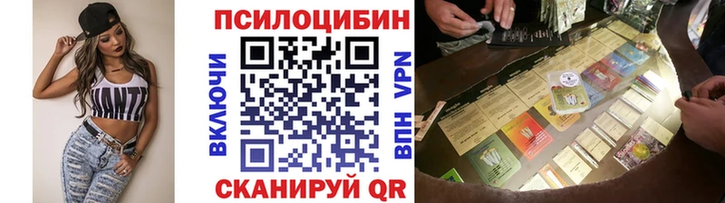 сколько стоит  mega ССЫЛКА  Псилоцибиновые грибы GOLDEN TEACHER  Шахунья 